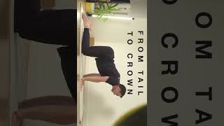 CAT COW FLOW #yoga #mobility #slowflowyoga  #catcow #flexibility #movement #asana #asana #vinyasa