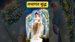 #trending #short #video #viral#tophits #buddhansh