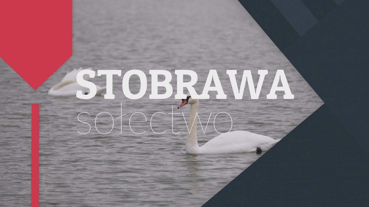 Stobrawa Rzeka Program Nasze Sołectwo - STOBRAWA! - YouTube