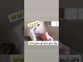 ذبانه لو مطي هاي 