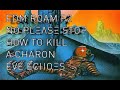 How to kill a charon edm roam p2  eve echoes  eveechoes