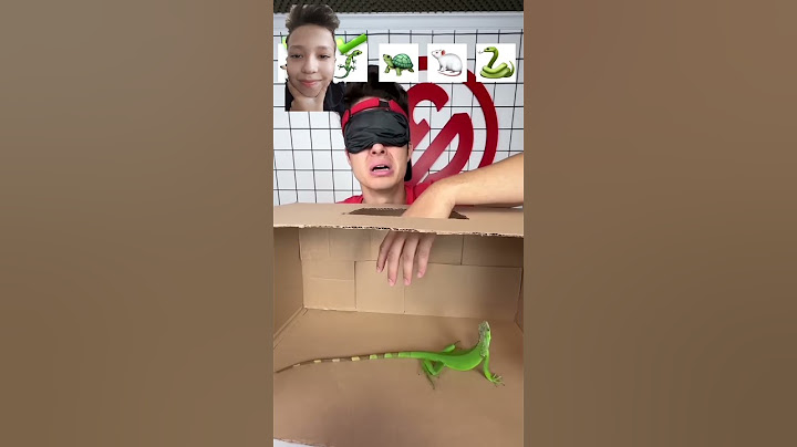 ADIVINHE O ANIMAL DE OLHOS VENDADOS!