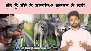 Do You Know Who Created Dogs? Interesting Fact Which Language Rules The World? Punjabi Video