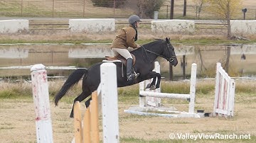 Jacks Playboon - over fences! - ValleyViewRanch.net