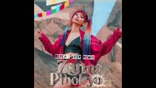 Zanna - Pinokyo ( Berkay Eker Remix ) Resimi