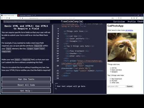 Use HTML5 to Require a Field Free Code Camp Org Basic HTML and HTML5