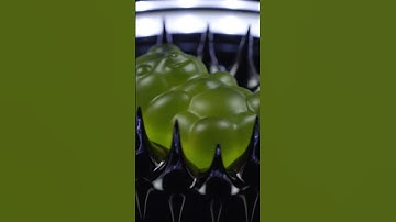 Magnetic Ferrofluid ASMR – Gummy Bear & Fluid Peaks