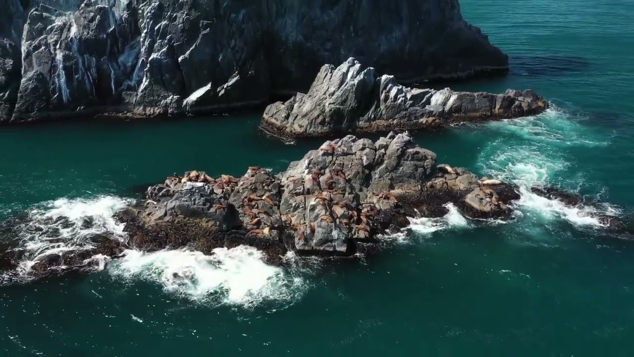 Relaxing satisfying nature video  - Digital Destinations