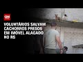 Voluntários salvam cachorros presos em imóvel alagado no RS | CNN 360º