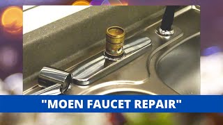 Moen Style Kitchen Faucet Repair You