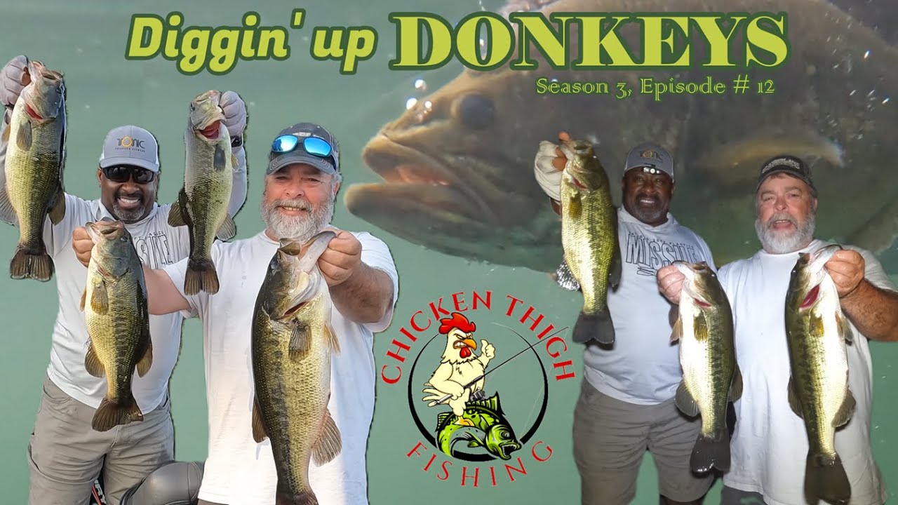 Chicken Thigh Fishing – Bass Fishing Fun, Tips, Tackle, & Technique #bassfishing #largemouthbass