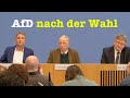 Höcke, Gauland & Meuthen: Die AfD-Chefs nach der Wahl in Thüringen | BPK