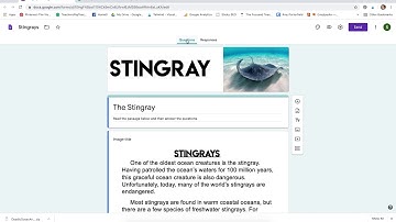 How to Use Google Forms to Assess Reading Comprehension