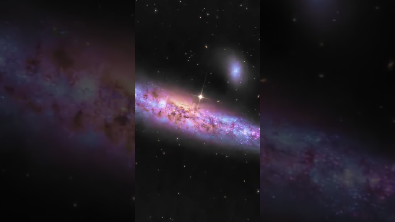 NGC 4631: The Cosmic Whale, 