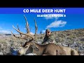 Season 3 Episode 8 - 3 BIG Colorado Bucks Down!