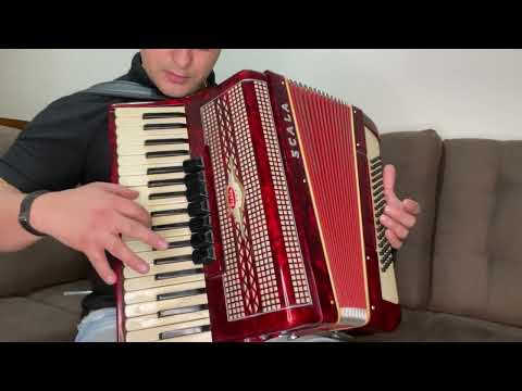 (Vendido )Acordeon Scala