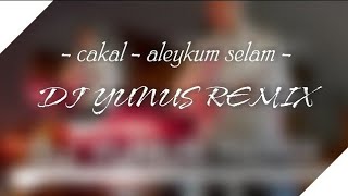 ÇAKAL - RECKOL - ALEYKÜM SELAM 2021 HIT ROMAN REMIX (DJ YUNUS REMIX)