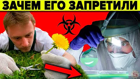 Зачем запретили одуванчик? 8 фактов о которых не знают врачи