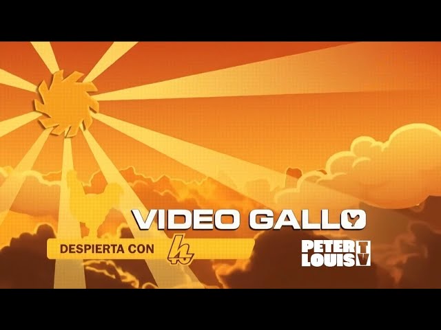 Watch INTRO - VIDEO GALLO HTV (RECREACIÓN) #PETERLOUISTV on YouTube Watch INTRO - VIDEO GALLO HTV (RECREACIÓN) #PETERLOUISTV on YouTube