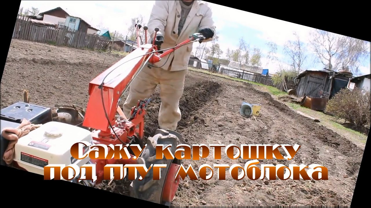 Посадка картошки под плуг мотоблока - YouTube