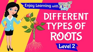 Roots of Plants | Parts of a Plant | Tutway