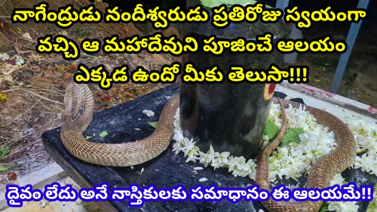 నాగేంద్రుడు నందీశ్వరుడు ప్రతిరోజు స్వయంగా వచ్చి ఆ మహాదేవుని పూజించే ఆలయం ఎక్కడ ఉందో మీకు తెలుసా!!!