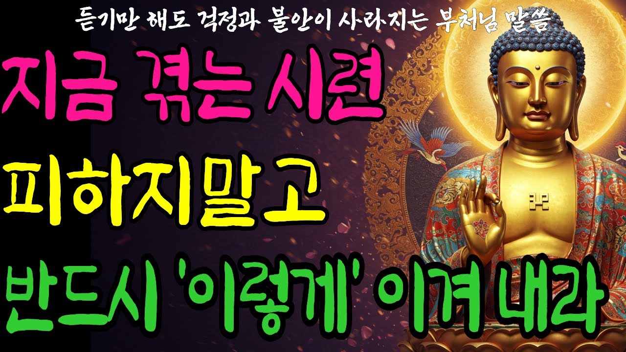 지금 겪는 시련과 고통, 피하지 말고 이렇게 이겨내라 | 자면서 듣는 | 부처님 | 석가모니  | 말씀 | 지혜 | 명언 | 명상