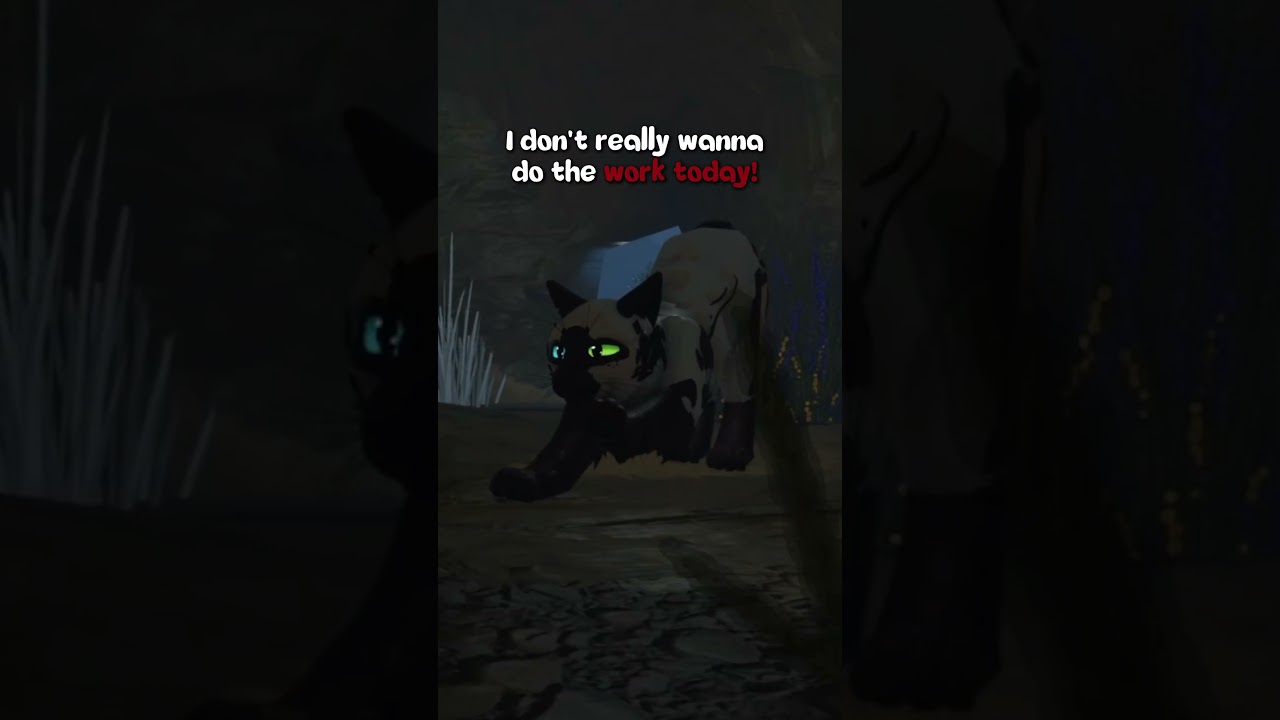 Жизнь целителя | Коты-воители; Полное издание | IB: @milliegills