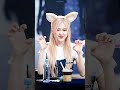 #blackpink lovers