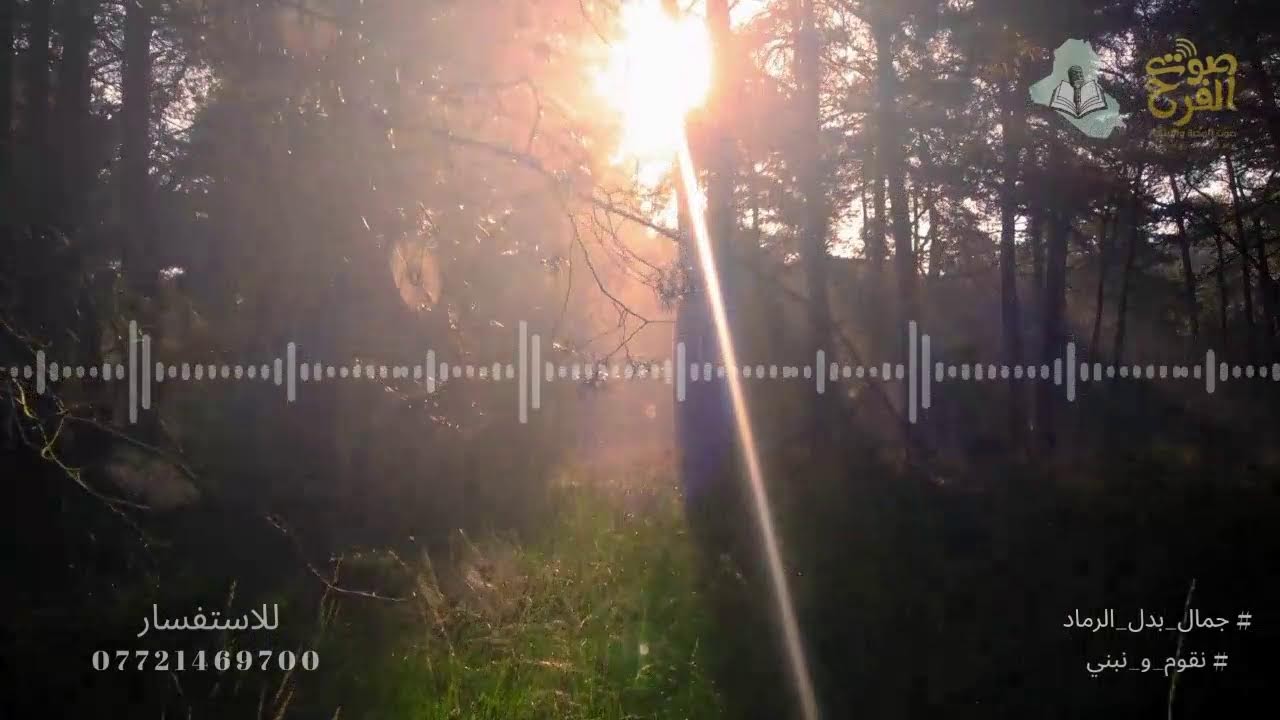 برنامج العاقل و الجاهل