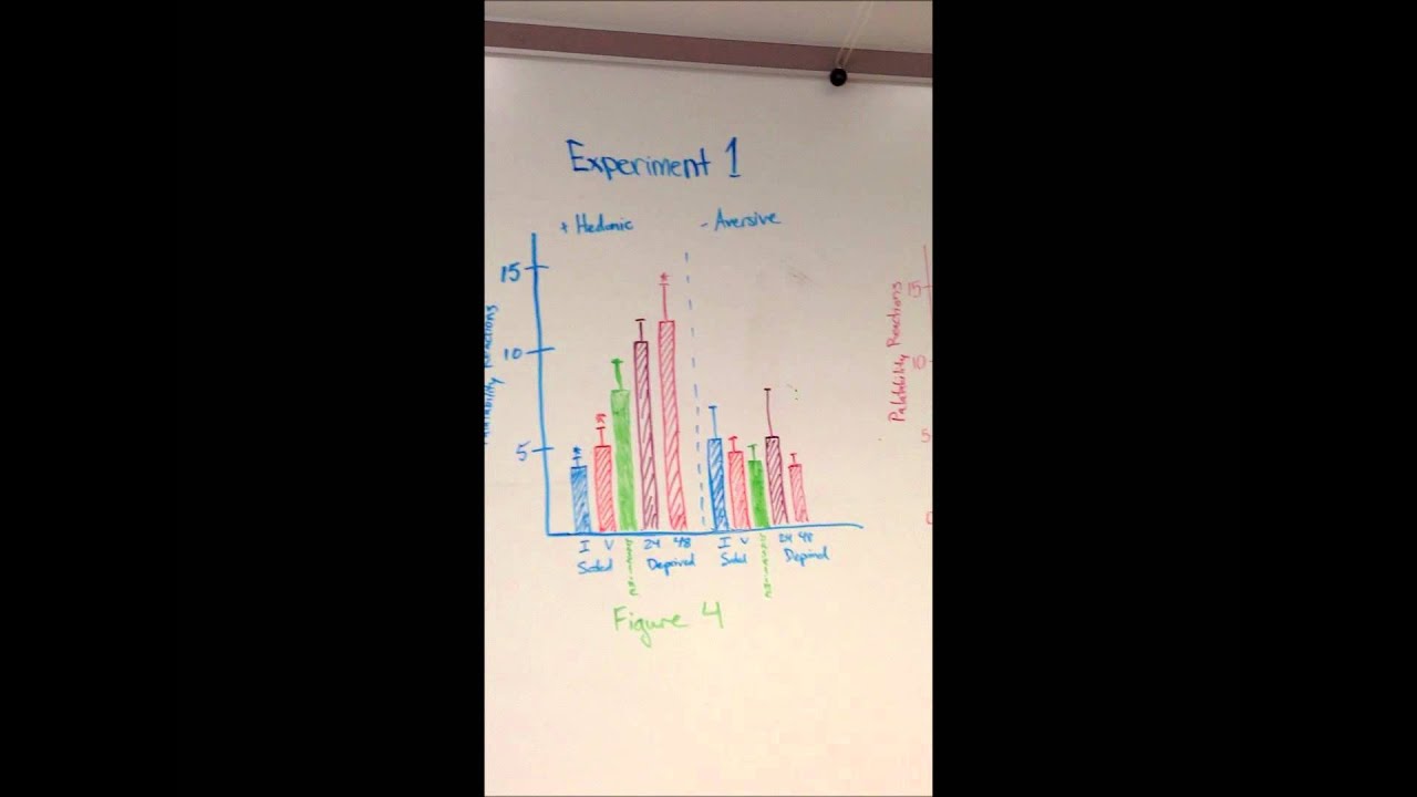 Modulation of Taste Affect by Hunger, Caloric Satiety, and Sensory-Specific Satiety In the Rat