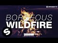 Borgeous - Wildfire (Danny Howard BBC Radio 1 Rip) [Radio Edit]
