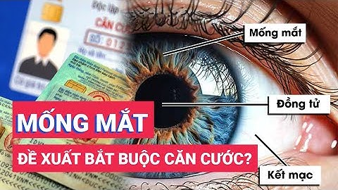 Mống mắt là gì, vì sao được thu thập làm dữ liệu căn cước