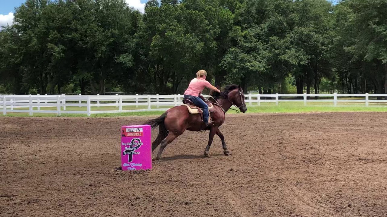 VF Two Barrel Gun 6/30/19