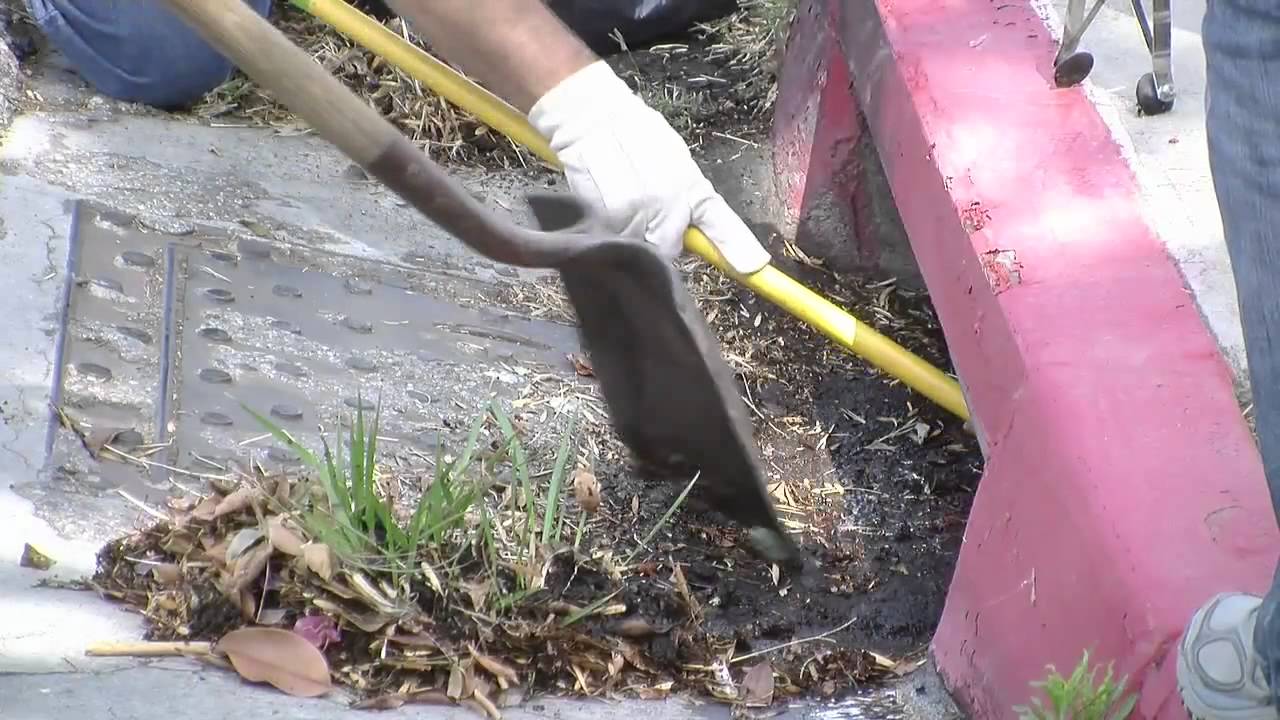 Annual Great American Cleanup in Riverside, CA