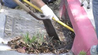 Annual Great American Cleanup in Riverside, CA