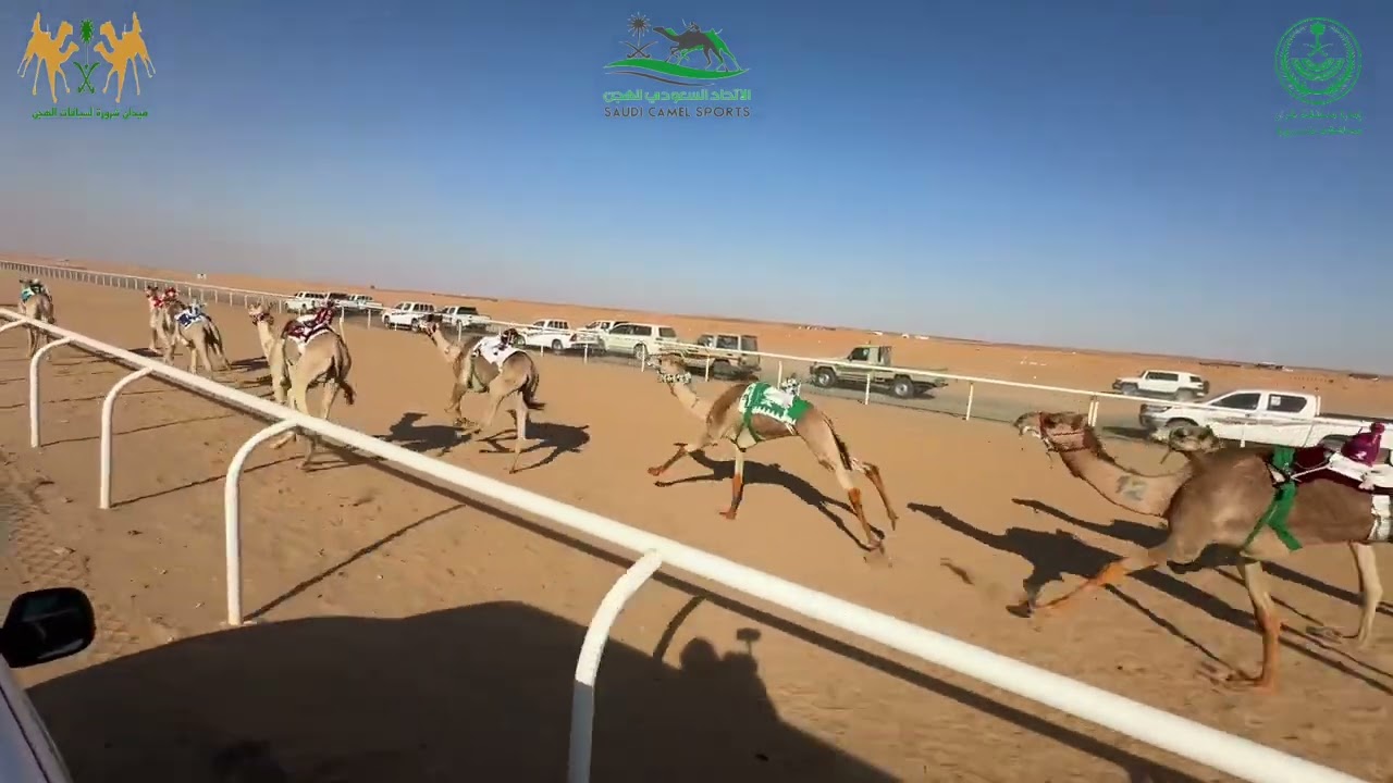 ميدان شرورة - لقايا رئيسي قعدان -كاس امارة منطقة نجران + سيارة- هداج ل نايف مبارك الوارد الصيعري