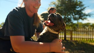Mobile Animal Services Making a Difference