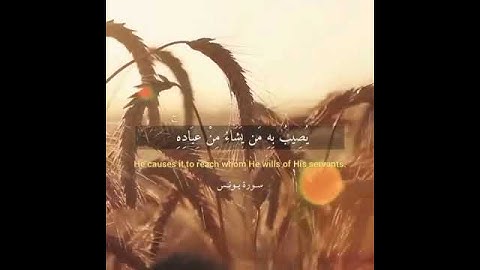 سورة يونس القارئ عبدالله الموسى صوت جميل