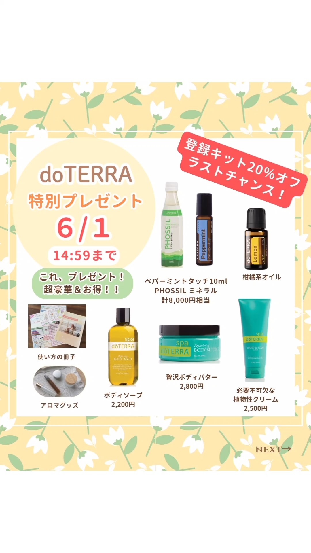 ドテラの登録キット20％OFF&豪華プレゼントキャンペーン 5月末まで開催