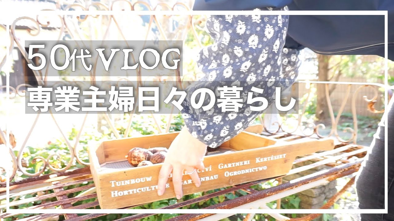 50代 専業主婦日々の暮らしvlog 旬の野菜で作り置き 家庭菜園冬の収穫 専業主婦のお昼ご飯 地味だけどそれなりに楽しい専業主婦の日常 Youtube