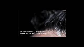 Alpha Rules Heads Up Shdanoo Pria Maskulin 250ml By Deddy Corbuzier