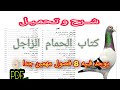 شرح تحميل كتاب الحمام الزاجل PDF 