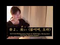 🇯🇵松任谷由実 &amp; 🇰🇷Lim, Hyung-Joo(임형주) - 🌼 春よ、来い (봄이여, 오라) 🌸 [Acoustic Cover by Autumn Guitar(秋天吉他)]