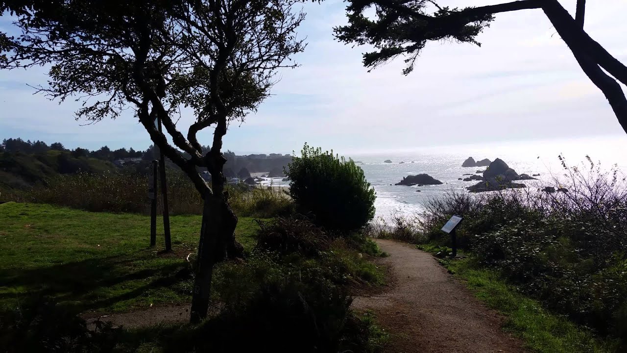 Harris beach , Brookings Oregon