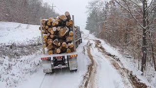 Truck in the ditch!