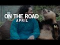 ON THE ROAD APRIL ( ASIA TOUR )