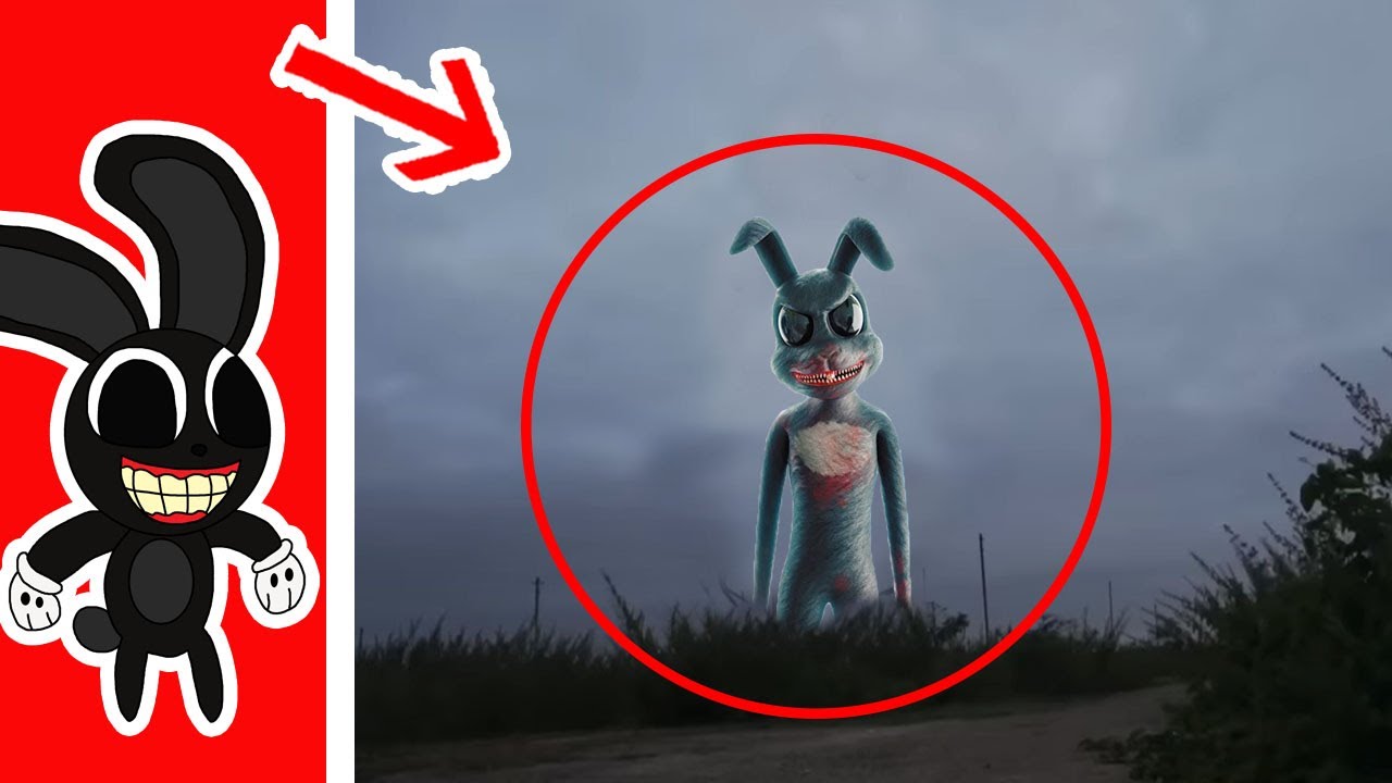 6 CARTOON RABBIT Reales Captados en Camara - YouTube
