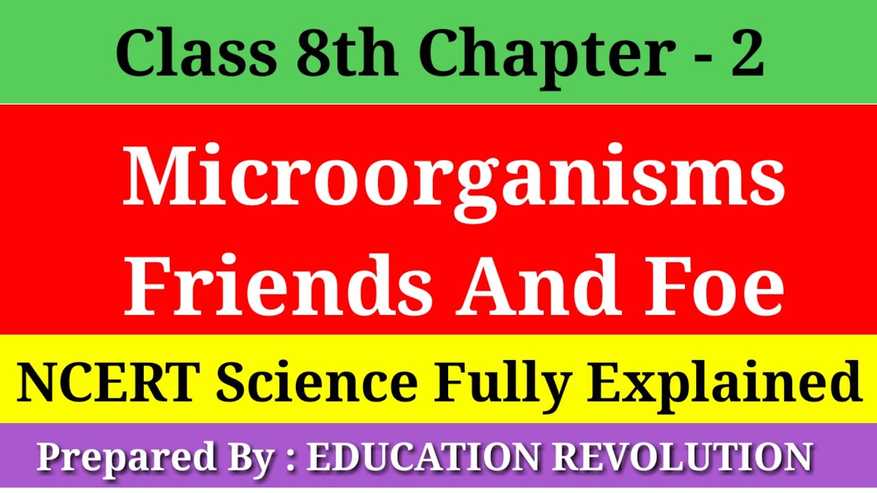 Microorganisms Friends And Foe || NCERT Class 8th Science Chapter - 2 ...