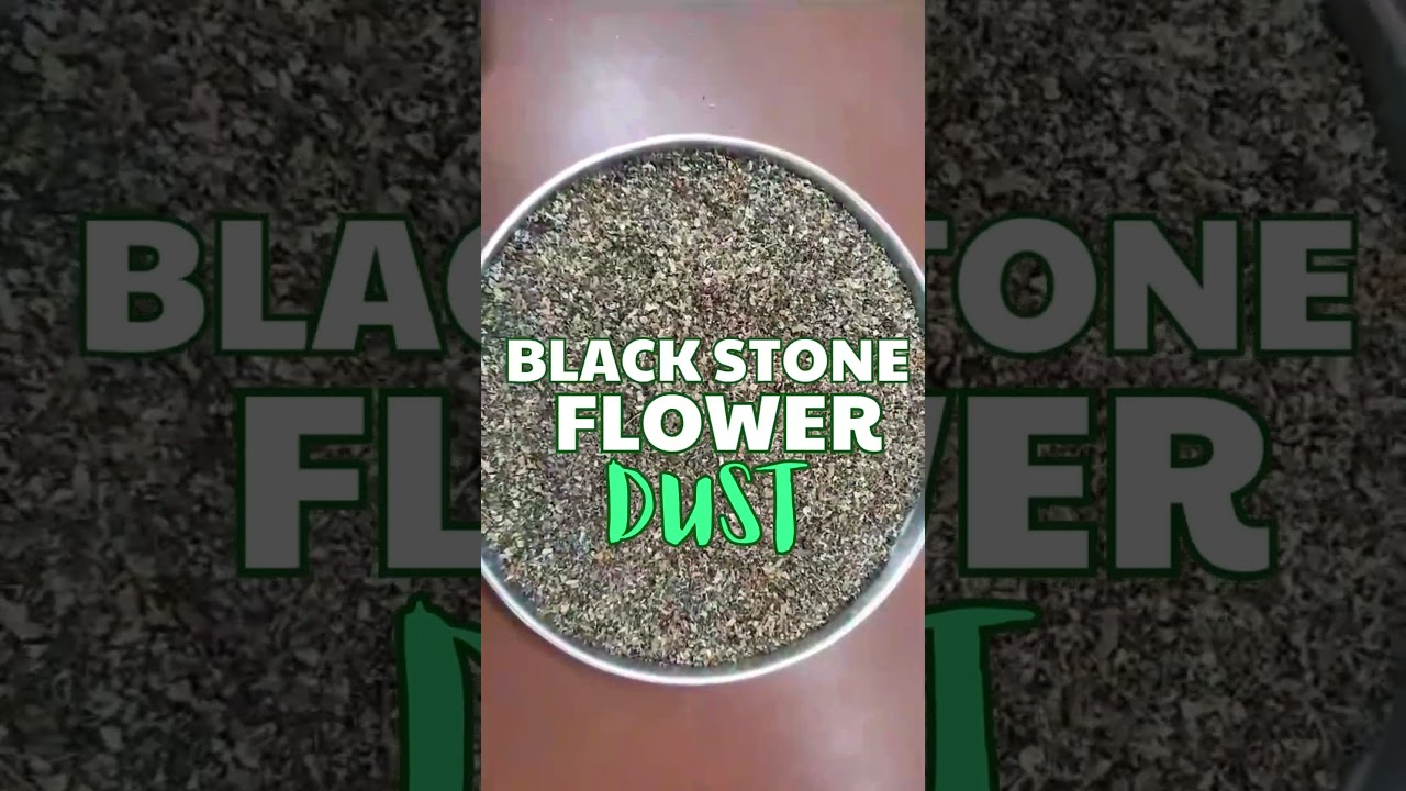 Stone Flower dust - no mud